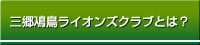 �O���꒹���C�I���Y�N���u�Ƃ́H